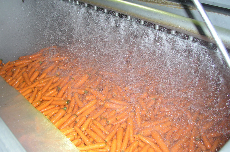 Ozonosoluzioni.it - Industria Alimentare - Hydro-cooling - 01