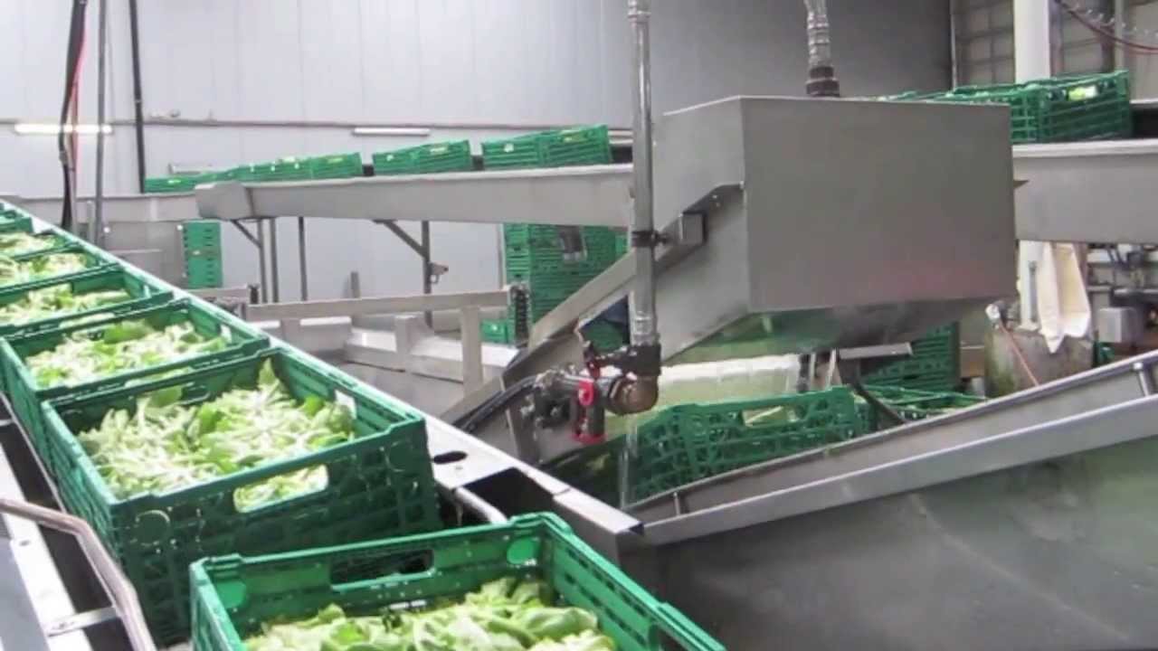 Ozonosoluzioni.it - Industria Alimentare - Hydro-cooling - 03