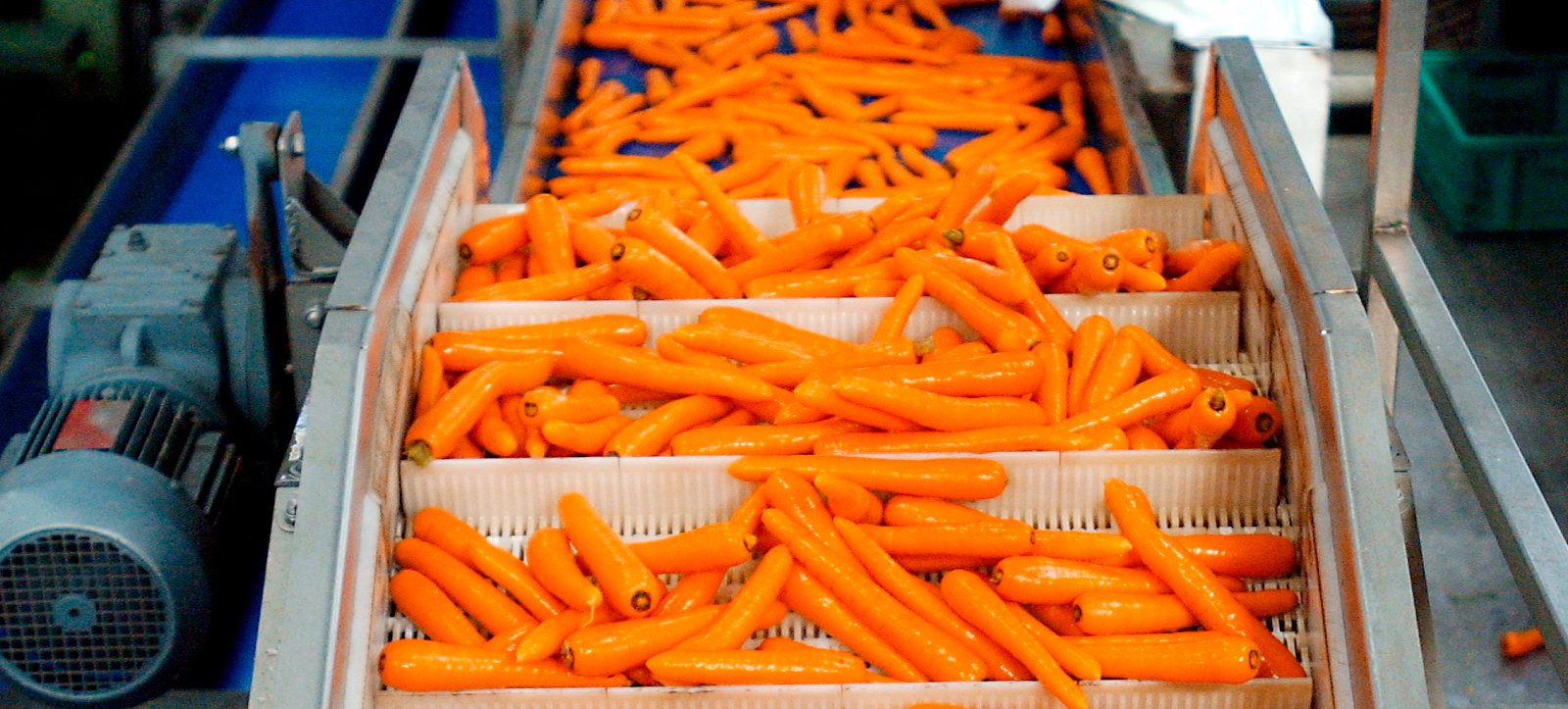 Ozonosoluzioni.it - Industria Alimentare - Hydro-cooling - Header - 01b