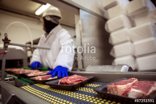 Ozonosoluzioni.it - Industria Alimentare - Macelli sale di porzionamento lavorazione carne - 01