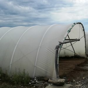 acqua irrigua serre